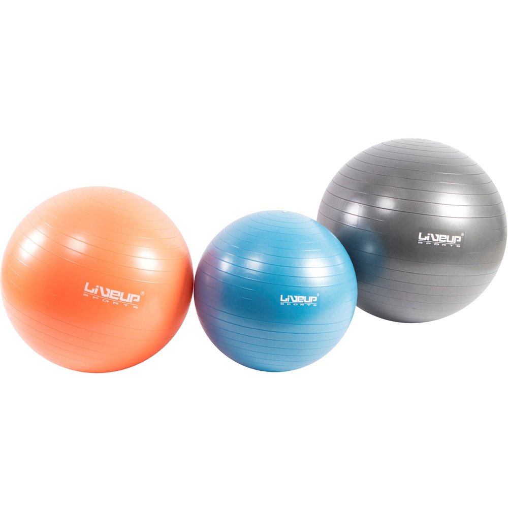EXERCISE BALL